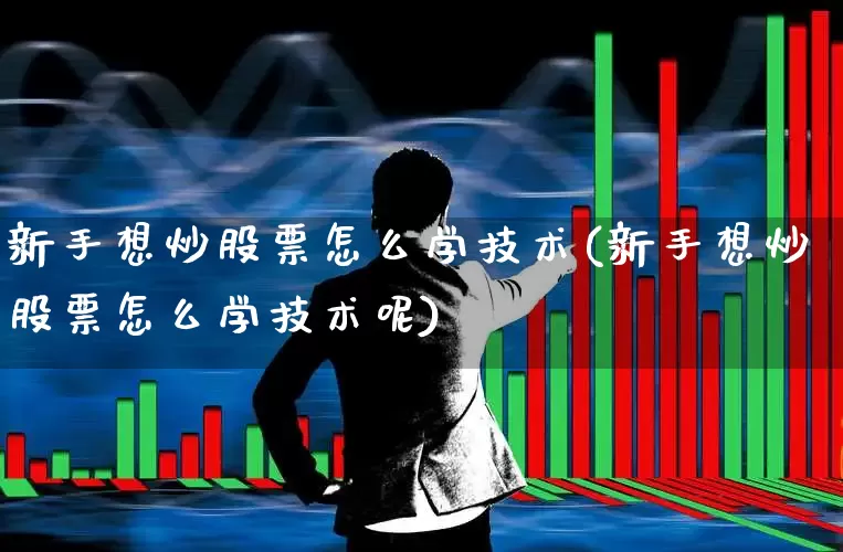 新手想炒股票怎么学技术(新手想炒股票怎么学技术呢)_https://www.fzdzcxj.com_创业板_第1张