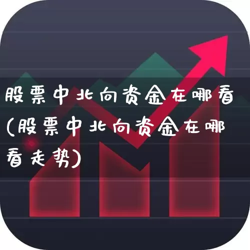股票中北向资金在哪看(股票中北向资金在哪看走势)_https://www.fzdzcxj.com_北交所_第1张