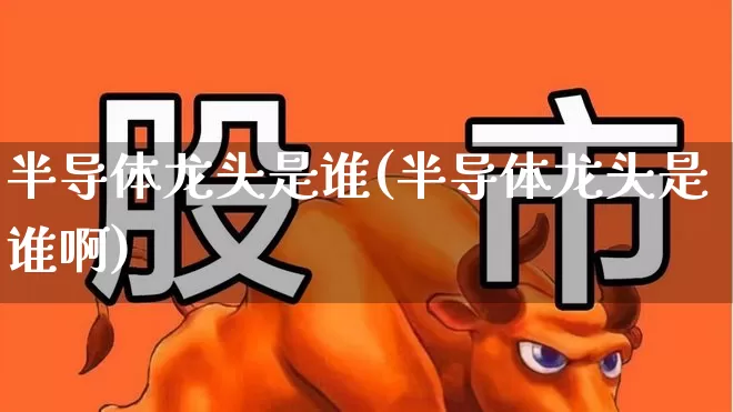 半导体龙头是谁(半导体龙头是谁啊)_https://www.fzdzcxj.com_上交所_第1张