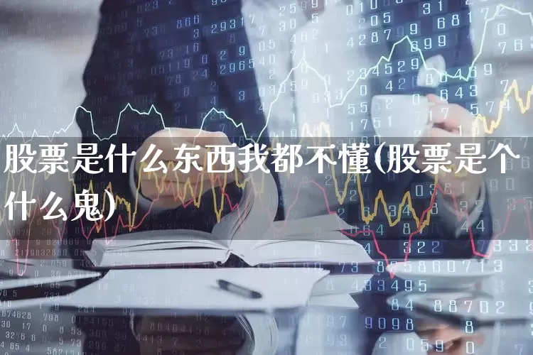 股票是什么东西我都不懂(股票是个什么鬼)_https://www.fzdzcxj.com_创业板_第1张