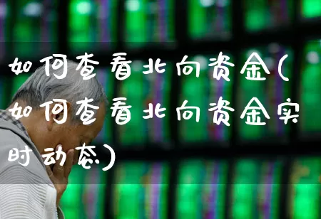 如何查看北向资金(如何查看北向资金实时动态)_https://www.fzdzcxj.com_北交所_第1张