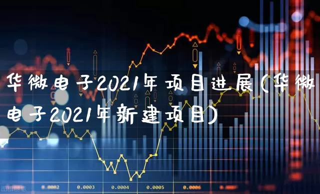 华微电子2021年项目进展(华微电子2021年新建项目)_https://www.fzdzcxj.com_北交所_第1张