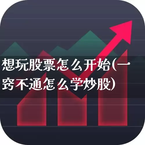 想玩股票怎么开始(一窍不通怎么学炒股)_https://www.fzdzcxj.com_北交所_第1张