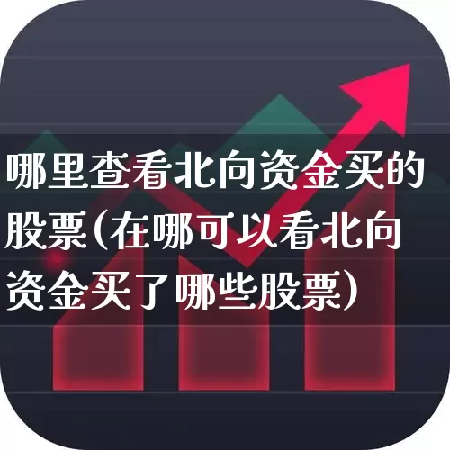 哪里查看北向资金买的股票(在哪可以看北向资金买了哪些股票)_https://www.fzdzcxj.com_科创板_第1张