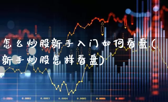 怎么炒股新手入门如何看盘(新手炒股怎样看盘)_https://www.fzdzcxj.com_创业板_第1张