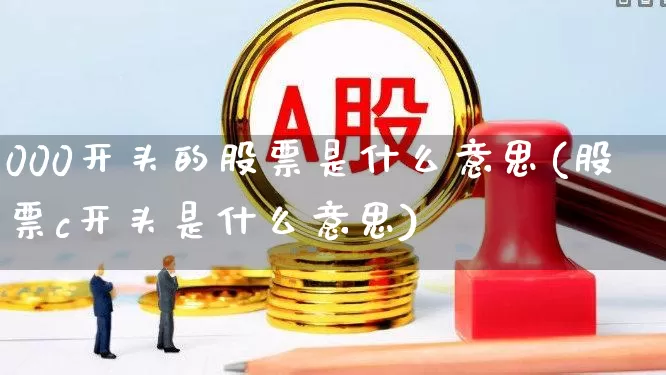 000开头的股票是什么意思(股票c开头是什么意思)_https://www.fzdzcxj.com_创业板_第1张