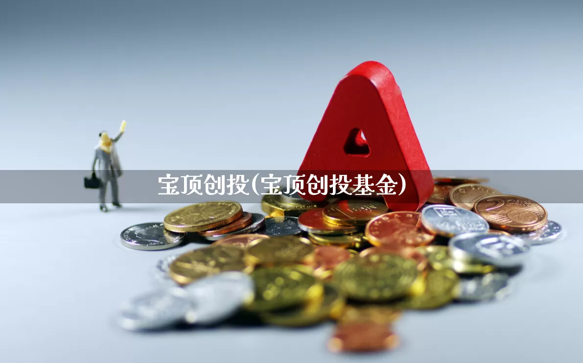 宝顶创投(宝顶创投基金)_https://www.fzdzcxj.com_深交所_第1张