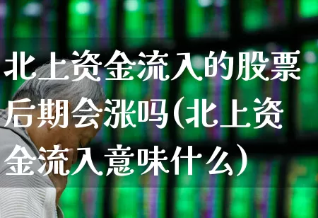 北上资金流入的股票后期会涨吗(北上资金流入意味什么)_https://www.fzdzcxj.com_北交所_第1张