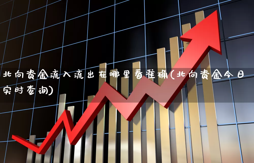 北向资金流入流出在哪里看准确(北向资金今日实时查询)_https://www.fzdzcxj.com_深交所_第1张