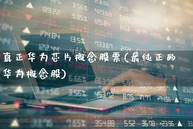 真正华为芯片概念股票(最纯正的华为概念股)_https://www.fzdzcxj.com_深交所_第1张