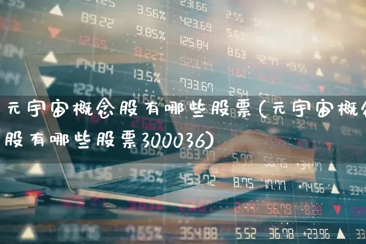 元宇宙概念股有哪些股票(元宇宙概念股有哪些股票300036)_https://www.fzdzcxj.com_科创板_第1张