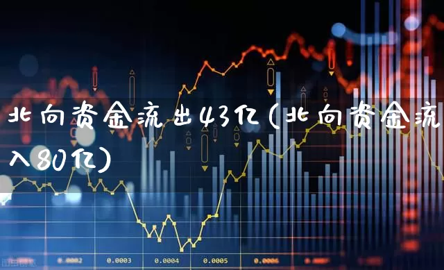 北向资金流出43亿(北向资金流入80亿)_https://www.fzdzcxj.com_科创板_第1张