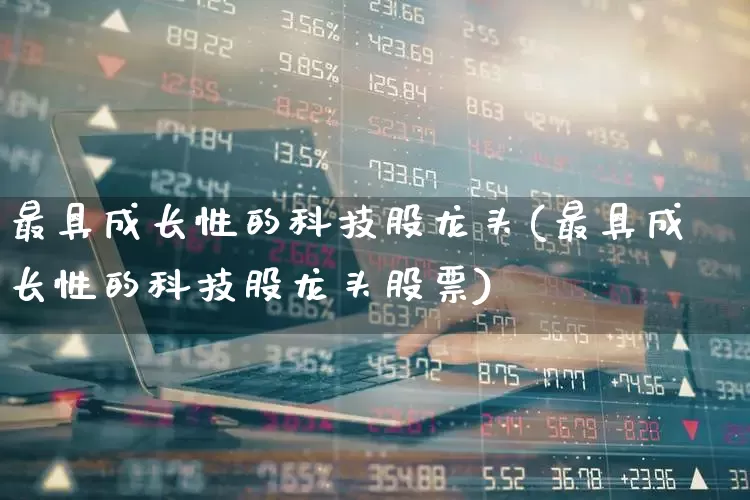 最具成长性的科技股龙头(最具成长性的科技股龙头股票)_https://www.fzdzcxj.com_深交所_第1张