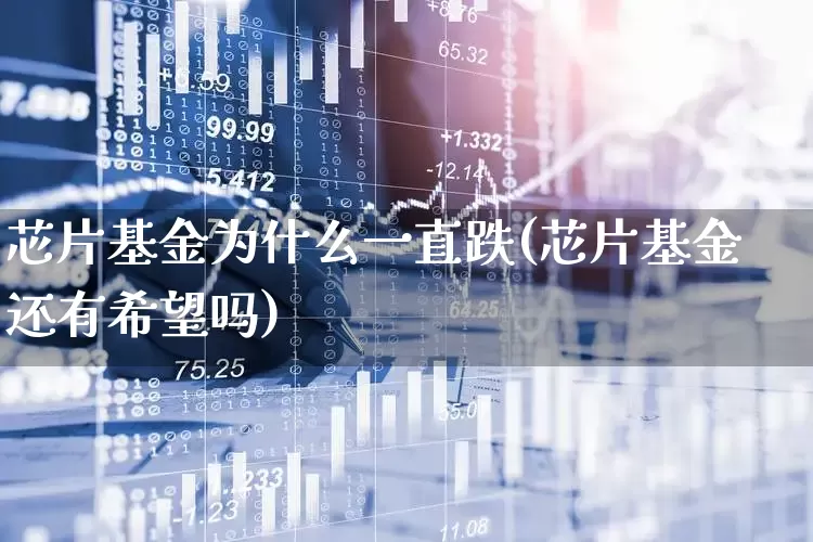 芯片基金为什么一直跌(芯片基金还有希望吗)_https://www.fzdzcxj.com_上交所_第1张