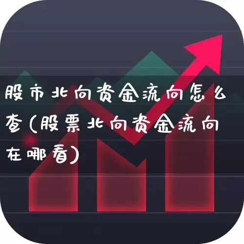 股市北向资金流向怎么查(股票北向资金流向在哪看)_https://www.fzdzcxj.com_上交所_第1张