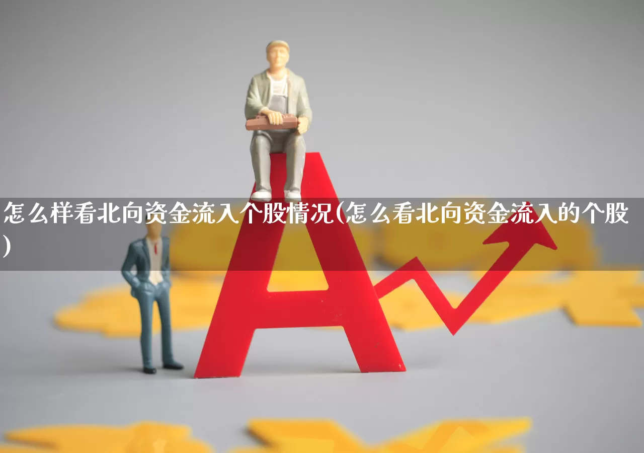 怎么样看北向资金流入个股情况(怎么看北向资金流入的个股)_https://www.fzdzcxj.com_科创板_第1张