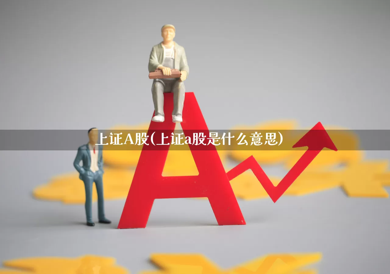 上证A股(上证a股是什么意思)_https://www.fzdzcxj.com_深交所_第1张