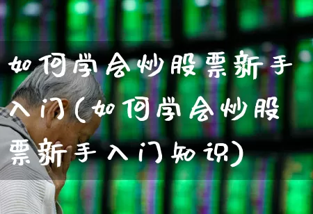 如何学会炒股票新手入门(如何学会炒股票新手入门知识)_https://www.fzdzcxj.com_科创板_第1张