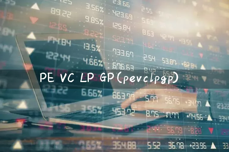 PE VC LP GP(pevclpgp)_https://www.fzdzcxj.com_深交所_第1张
