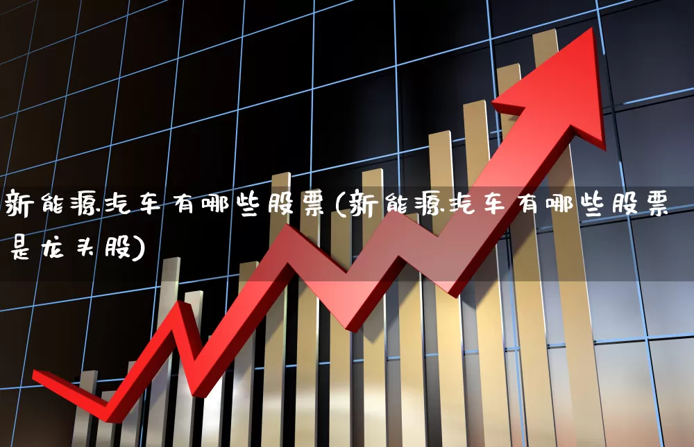新能源汽车有哪些股票(新能源汽车有哪些股票是龙头股)_https://www.fzdzcxj.com_上交所_第1张
