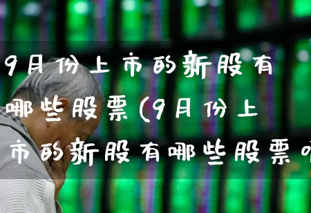 9月份上市的新股有哪些股票(9月份上市的新股有哪些股票呢)_https://www.fzdzcxj.com_深交所_第1张