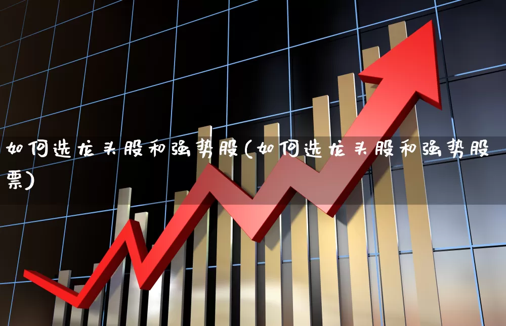 如何选龙头股和强势股(如何选龙头股和强势股票)_https://www.fzdzcxj.com_创业板_第1张