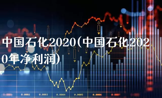 中国石化2020(中国石化2020年净利润)_https://www.fzdzcxj.com_上交所_第1张