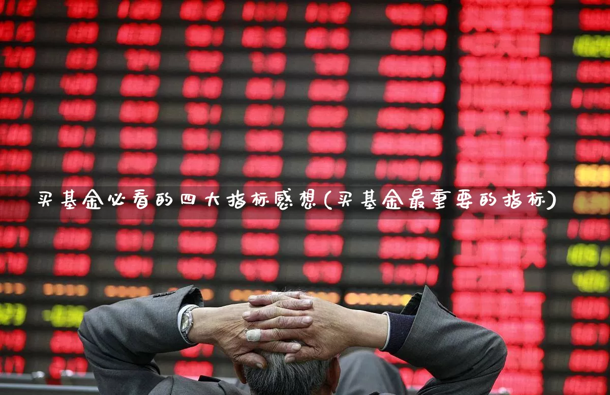 买基金必看的四大指标感想(买基金最重要的指标)_https://www.fzdzcxj.com_创业板_第1张