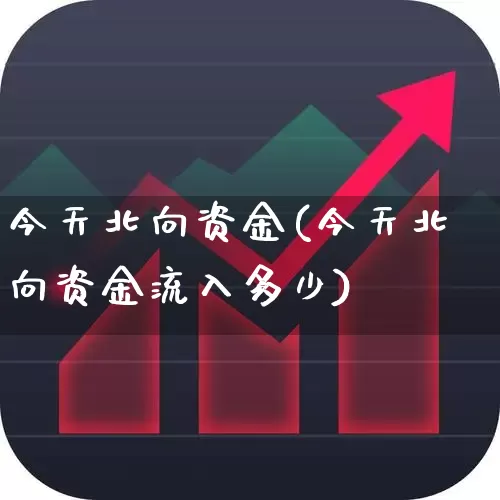 今天北向资金(今天北向资金流入多少)_https://www.fzdzcxj.com_深交所_第1张