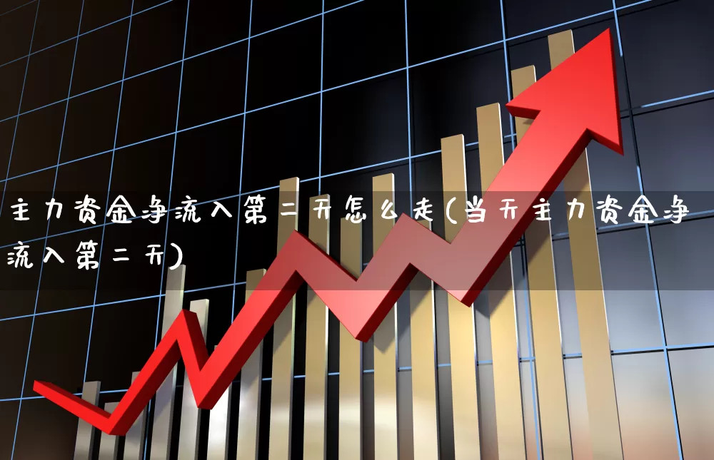 主力资金净流入第二天怎么走(当天主力资金净流入第二天)_https://www.fzdzcxj.com_科创板_第1张