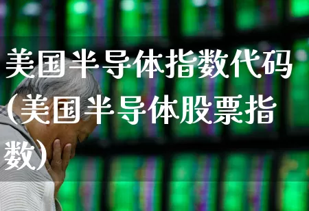 美国半导体指数代码(美国半导体股票指数)_https://www.fzdzcxj.com_深交所_第1张