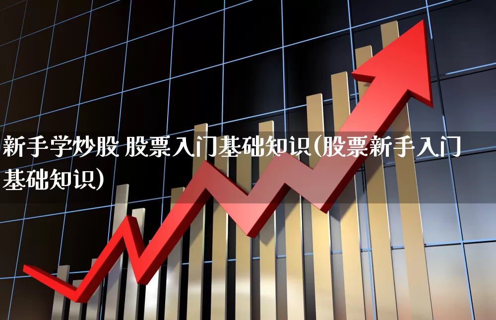 新手学炒股 股票入门基础知识(股票新手入门基础知识)_https://www.fzdzcxj.com_科创板_第1张