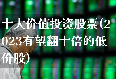 十大价值投资股票(2023有望翻十倍的低价股)_https://www.fzdzcxj.com_深交所_第1张