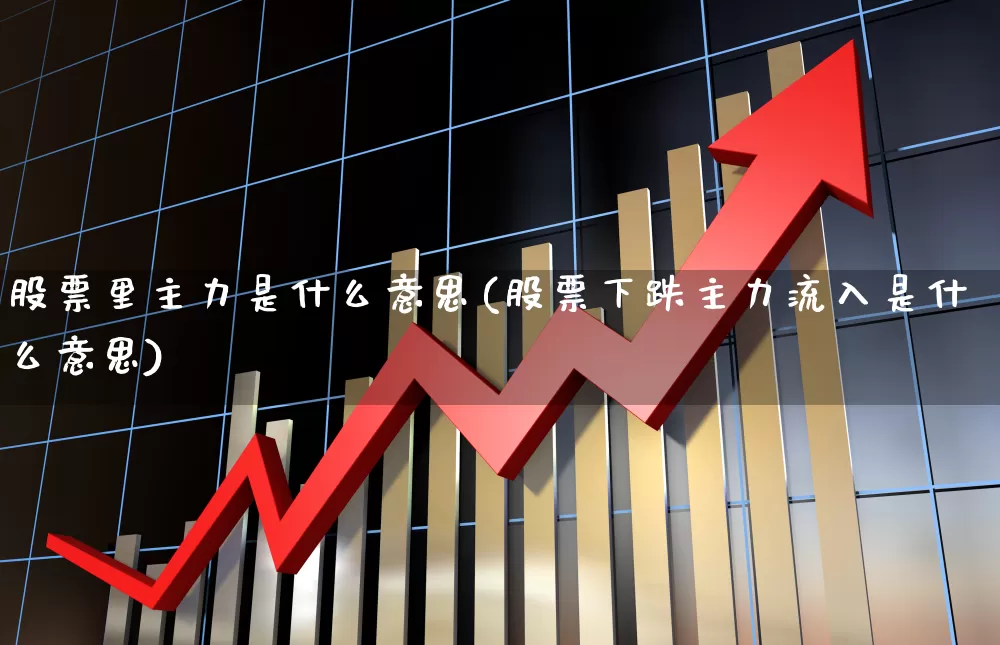 股票里主力是什么意思(股票下跌主力流入是什么意思)_https://www.fzdzcxj.com_科创板_第1张