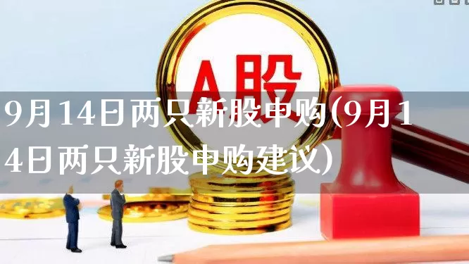 9月14日两只新股申购(9月14日两只新股申购建议)_https://www.fzdzcxj.com_创业板_第1张