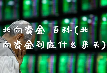 北向资金 百科(北向资金到底什么来头)_https://www.fzdzcxj.com_上交所_第1张
