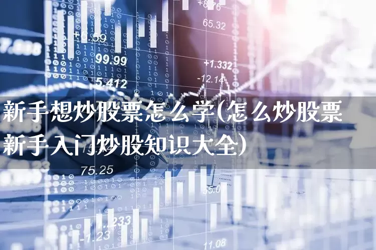 新手想炒股票怎么学(怎么炒股票新手入门炒股知识大全)_https://www.fzdzcxj.com_科创板_第1张