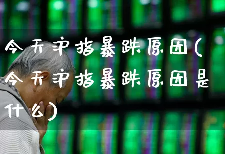 今天沪指暴跌原因(今天沪指暴跌原因是什么)_https://www.fzdzcxj.com_上交所_第1张