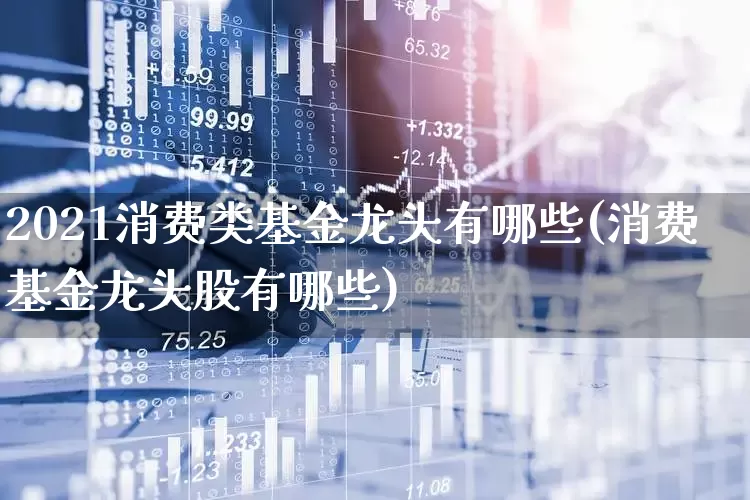 2021消费类基金龙头有哪些(消费基金龙头股有哪些)_https://www.fzdzcxj.com_创业板_第1张