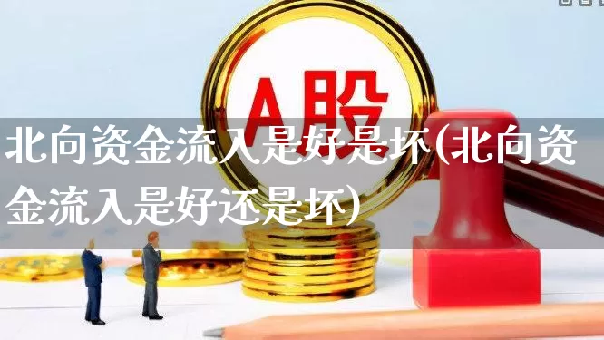 北向资金流入是好是坏(北向资金流入是好还是坏)_https://www.fzdzcxj.com_科创板_第1张