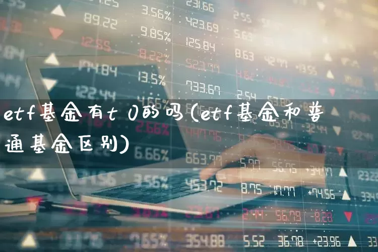 etf基金有t 0的吗(etf基金和普通基金区别)_https://www.fzdzcxj.com_科创板_第1张