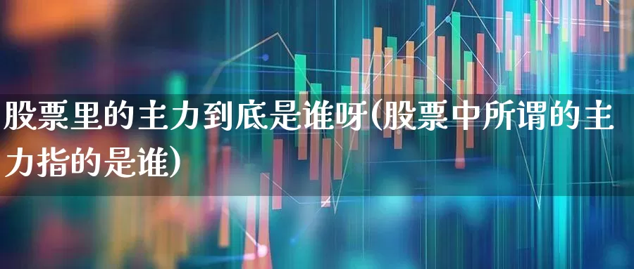 股票里的主力到底是谁呀(股票中所谓的主力指的是谁)_https://www.fzdzcxj.com_深交所_第1张