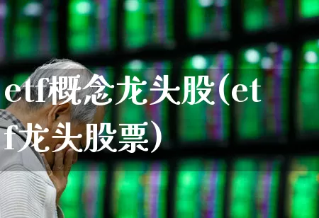 etf概念龙头股(etf龙头股票)_https://www.fzdzcxj.com_科创板_第1张