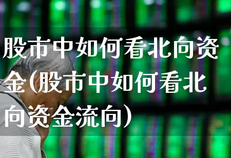 股市中如何看北向资金(股市中如何看北向资金流向)_https://www.fzdzcxj.com_上交所_第1张