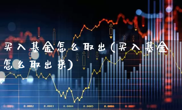 买入基金怎么取出(买入基金怎么取出来)_https://www.fzdzcxj.com_北交所_第1张