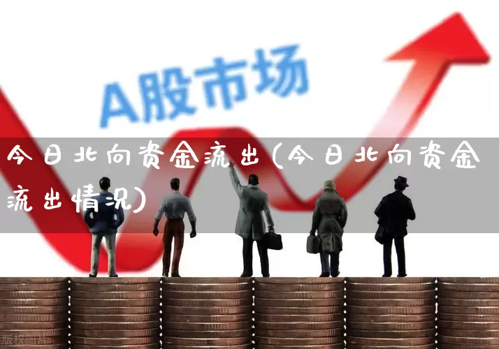 今日北向资金流出(今日北向资金流出情况)_https://www.fzdzcxj.com_深交所_第1张