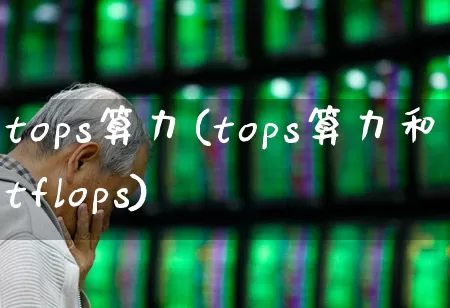 tops算力(tops算力和tflops)_https://www.fzdzcxj.com_深交所_第1张