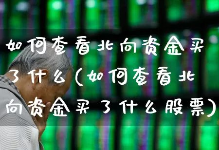 如何查看北向资金买了什么(如何查看北向资金买了什么股票)_https://www.fzdzcxj.com_深交所_第1张
