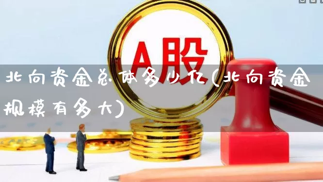 北向资金总体多少亿(北向资金规模有多大)_https://www.fzdzcxj.com_创业板_第1张