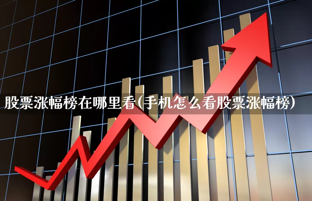 股票涨幅榜在哪里看(手机怎么看股票涨幅榜)_https://www.fzdzcxj.com_深交所_第1张